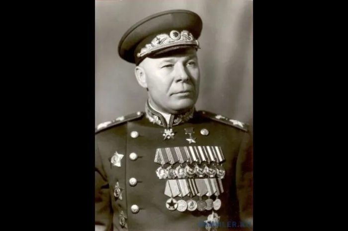 timoshenko_default_d_850