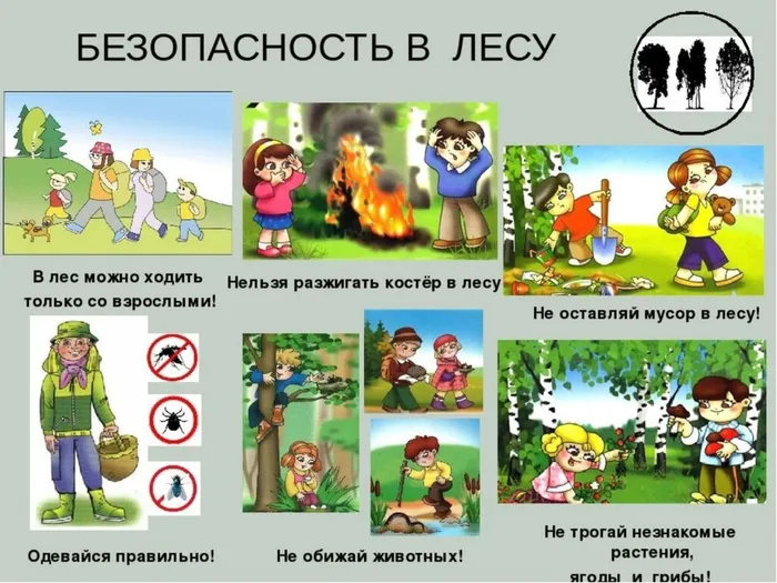 В лесу