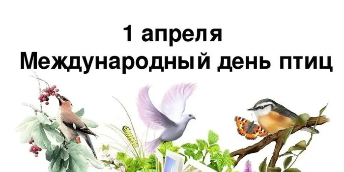 день птиц